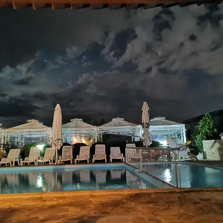 Appartement Exotic - *